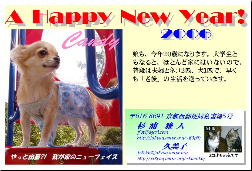 nycard2006.jpg