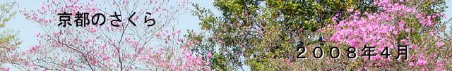 ŝ