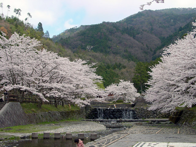 亀岡・七谷川