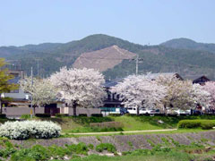 D啶i2005/04/14jBe